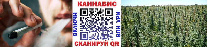 купить  цена  Судак  Бошки Шишки THC 21% 
